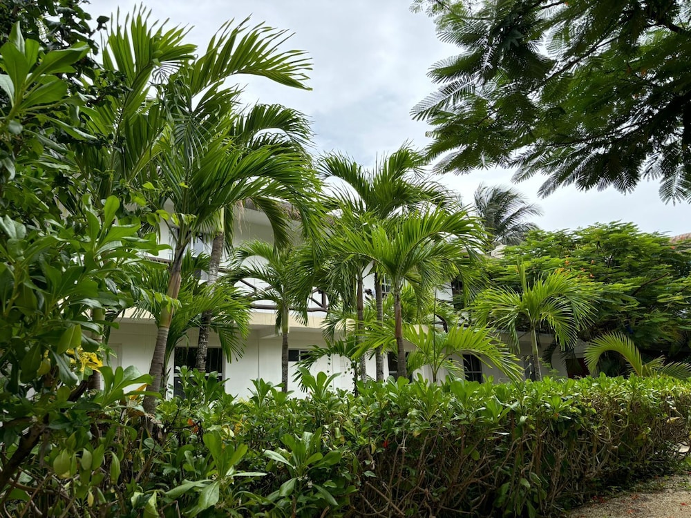 Hotel La Diosa Kali Beach Front Hotel - Image 1