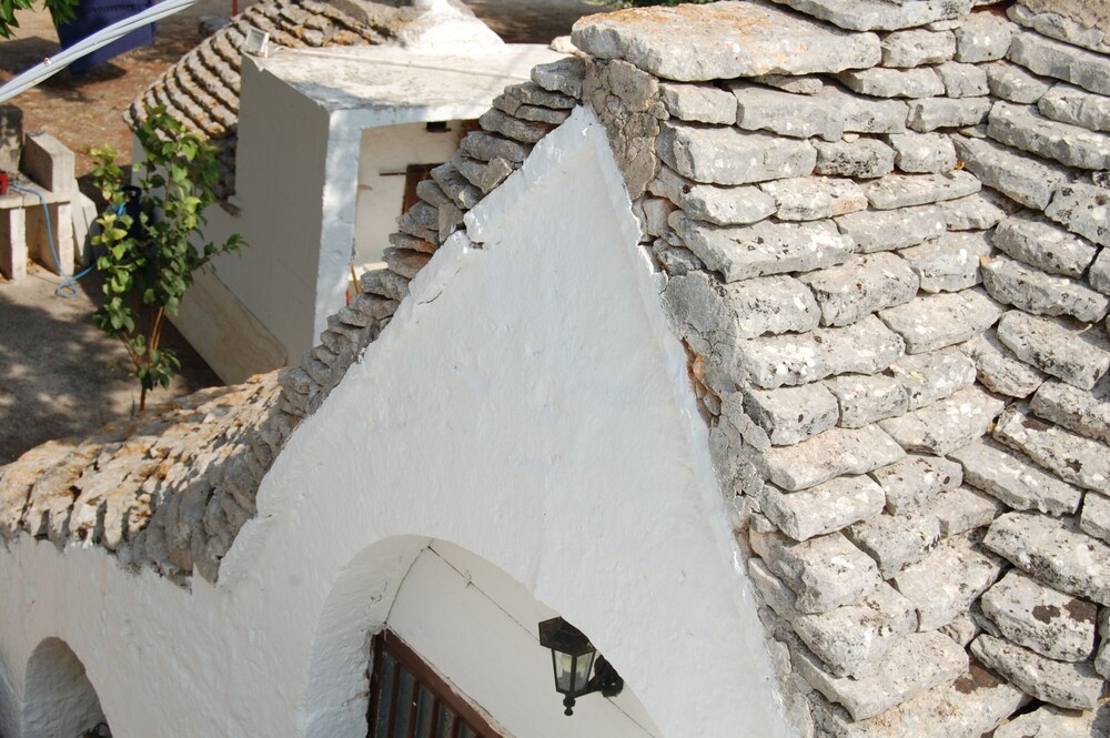 Photo 42