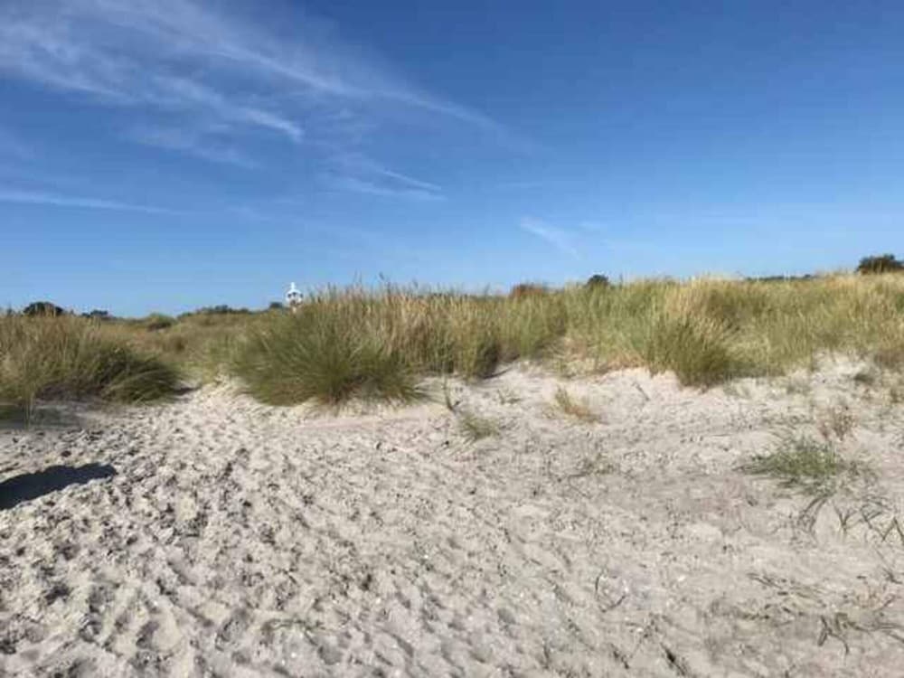 5 Star Holiday Home in Saeby
