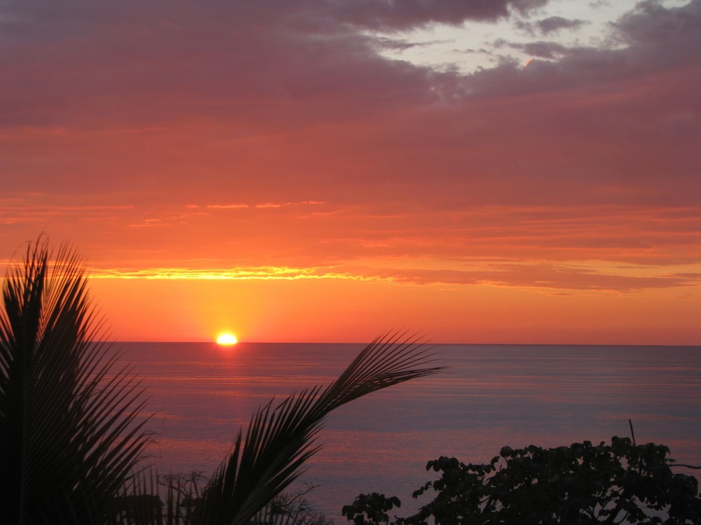 Punta Marenco Lodge