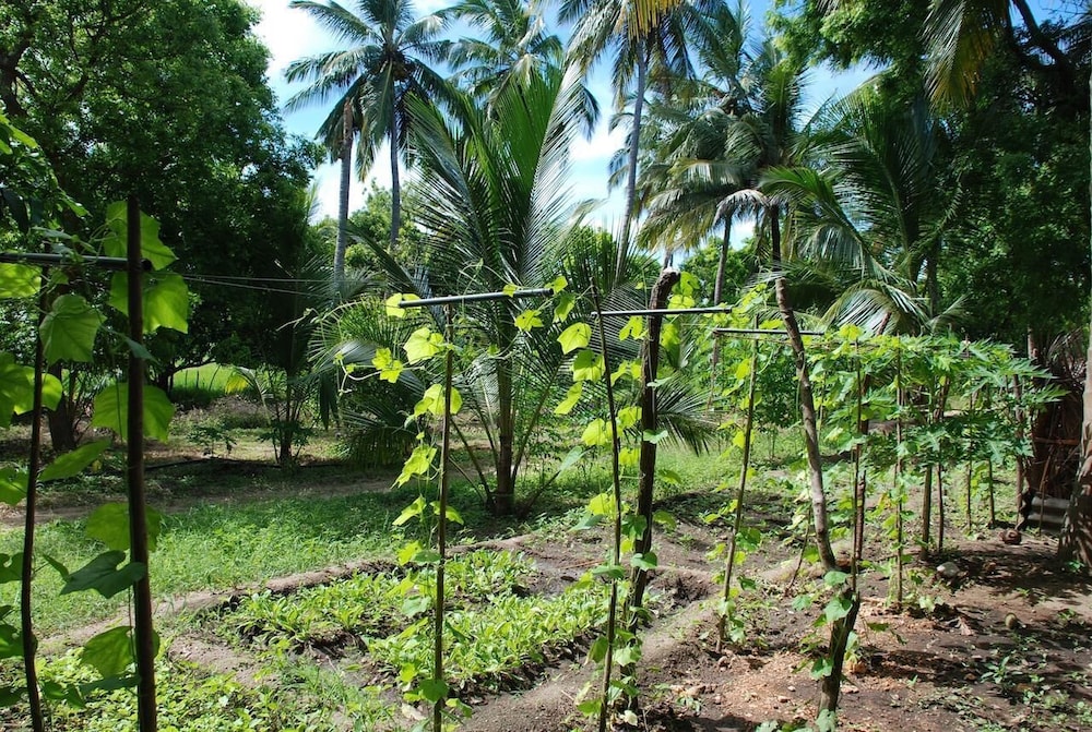 Kuda Oya Cottage