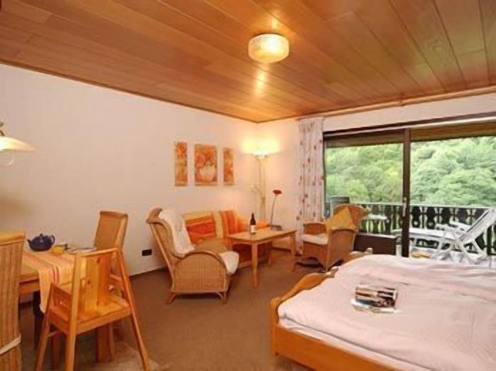 Hotel Garni Belvedere, das BIO Hotel SuiteHotel am Ederse - Property Image 24