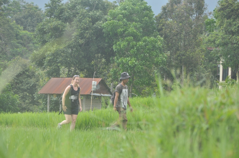 Tepi Sawah Lodge