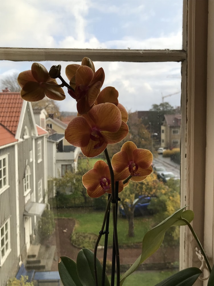Annes Hus — photo 64