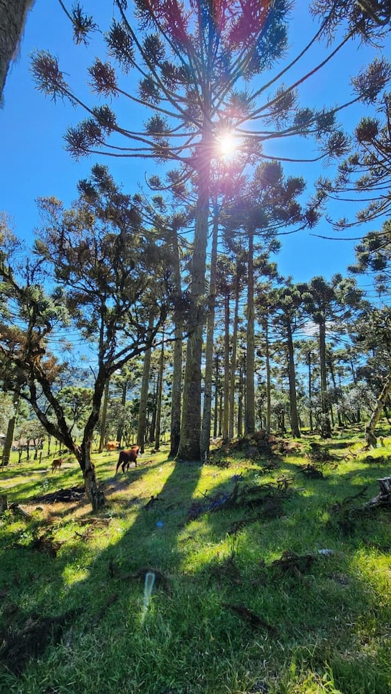 Villa das Araucarias - Urubici - SC
