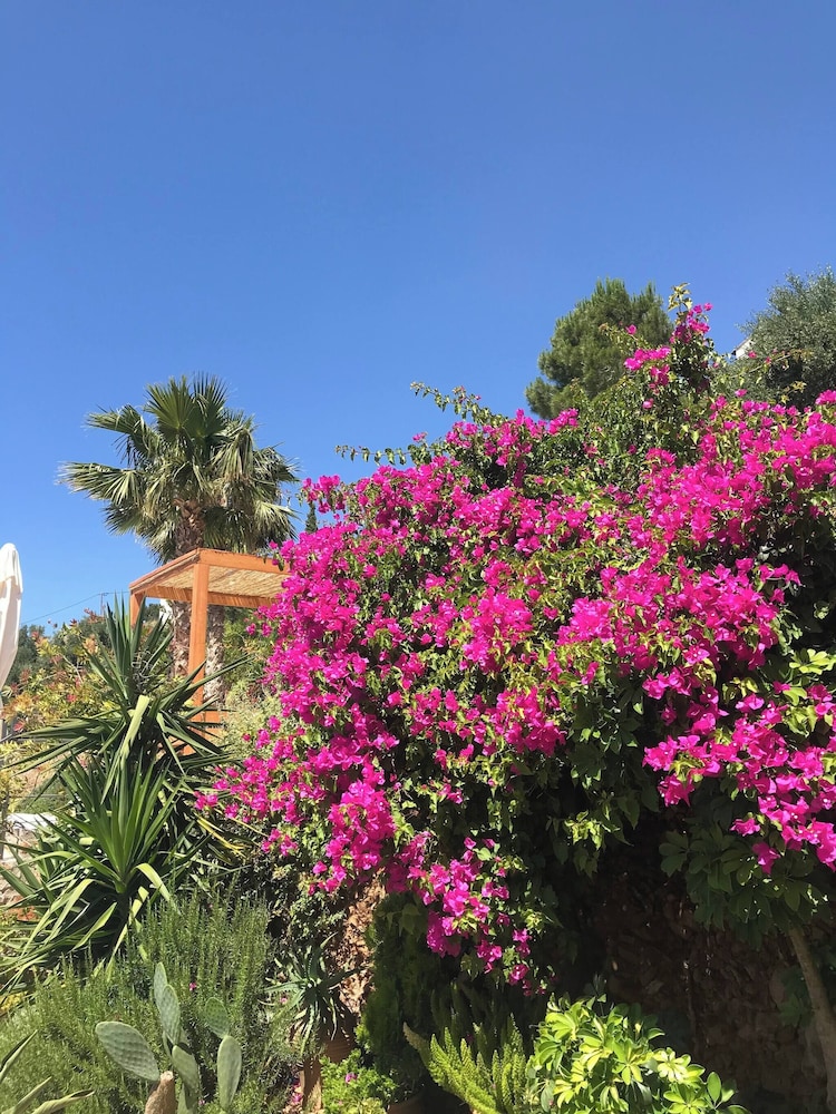 Villa With Pool Sea View Fitness