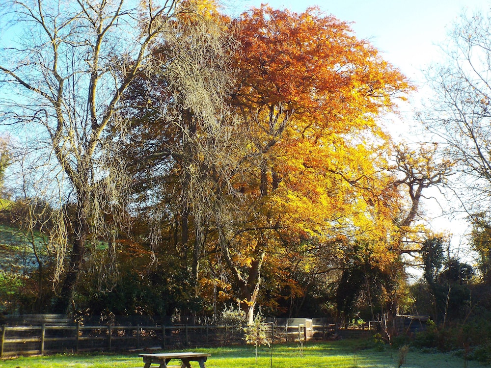 Meadowbrook Cottage B&B