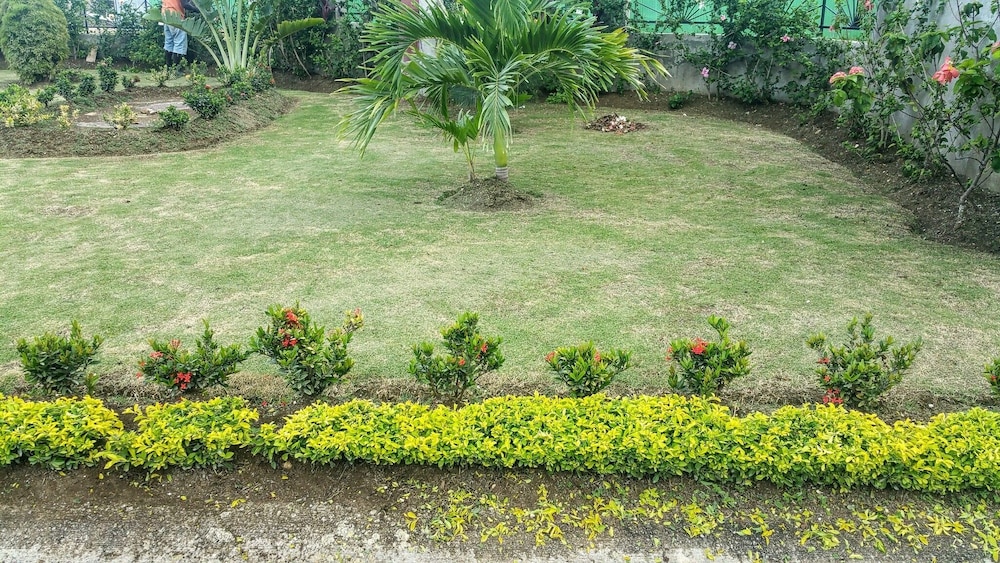 Oceanic View Apartment at Fern Court, photo 31