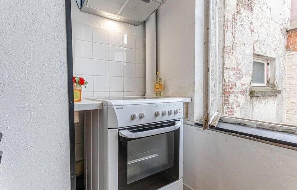 Comfy 5BR Apartment in Heart of Ghent