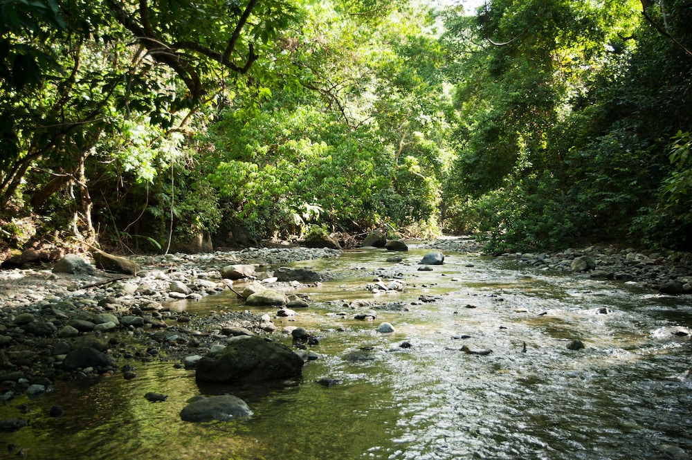La Leona Eco Lodge