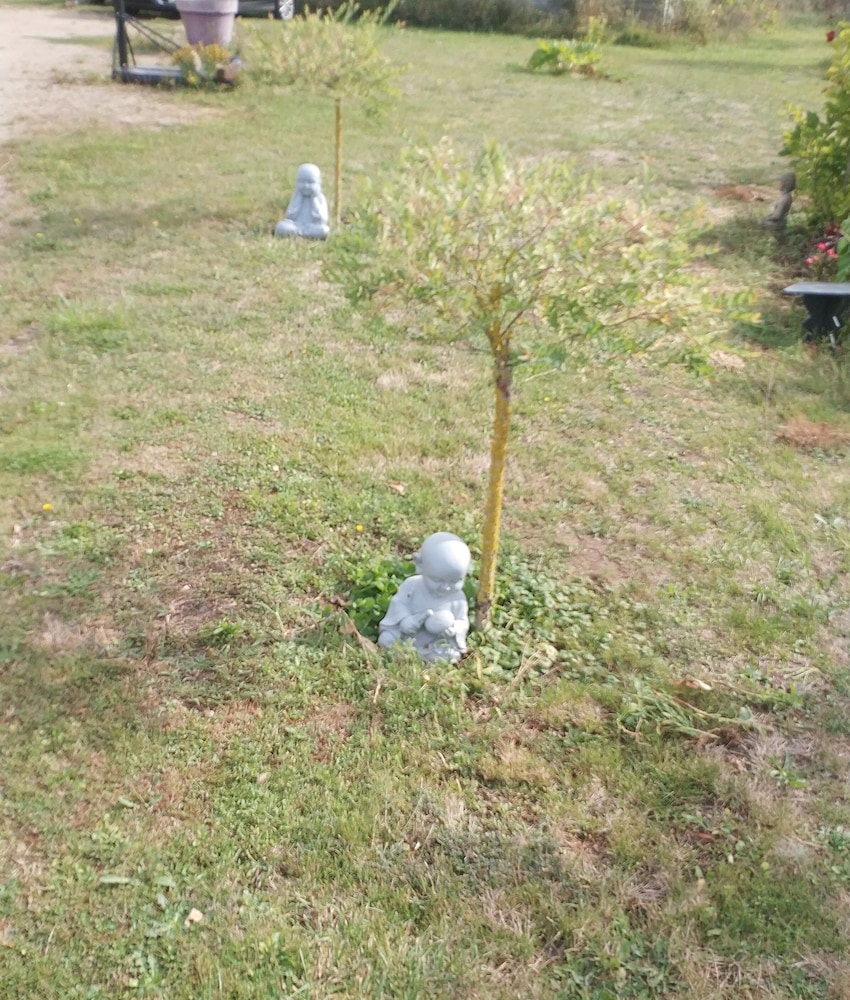 Photo 41