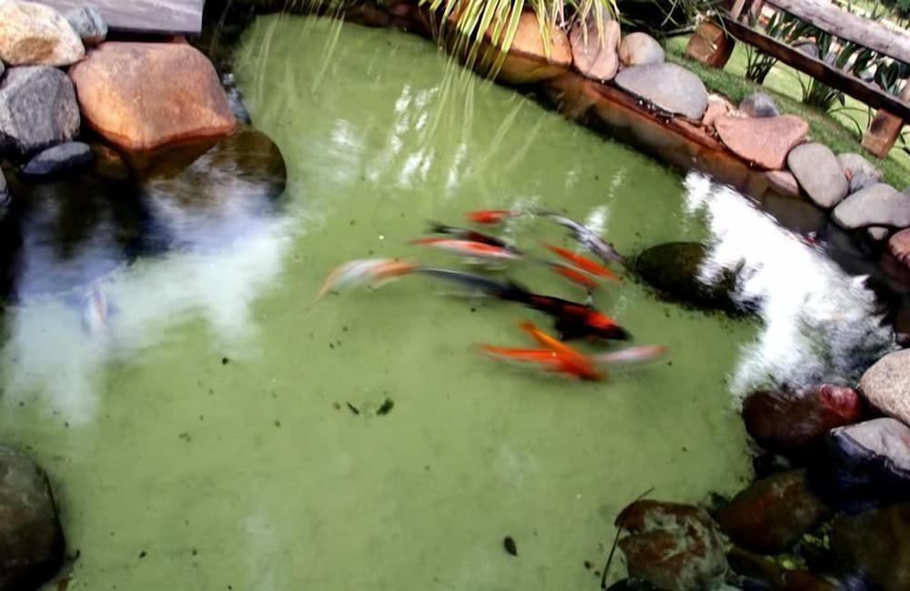 Photo 34
