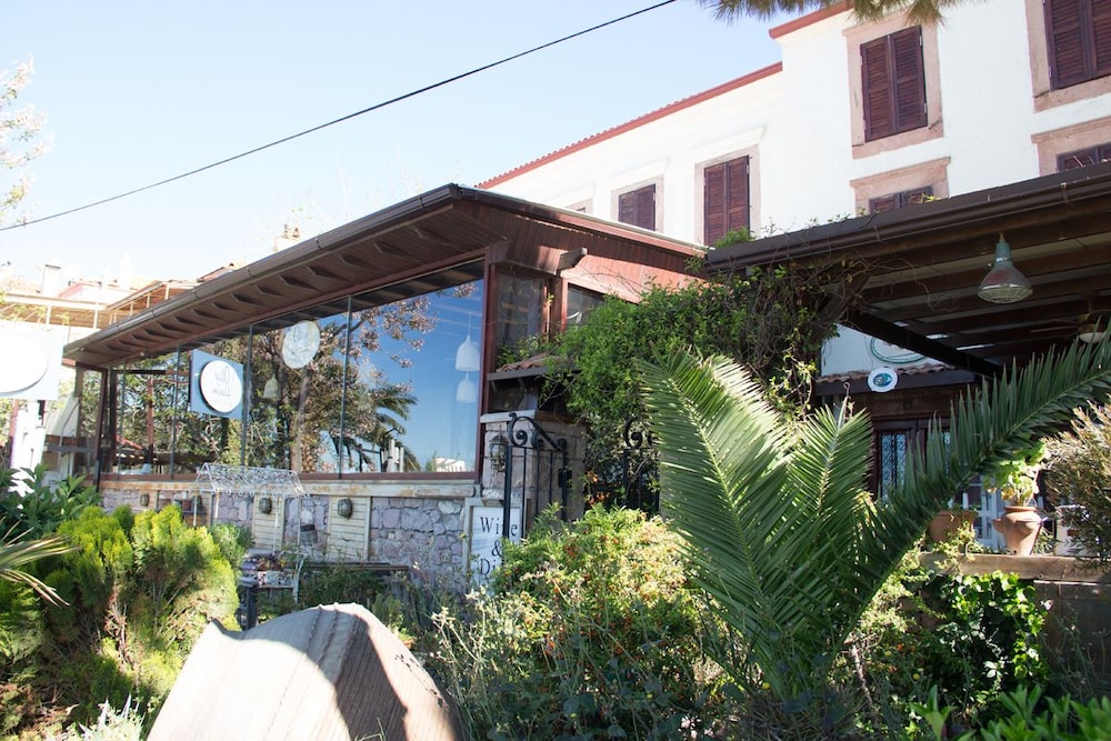 Aliye Hanım - Image 47