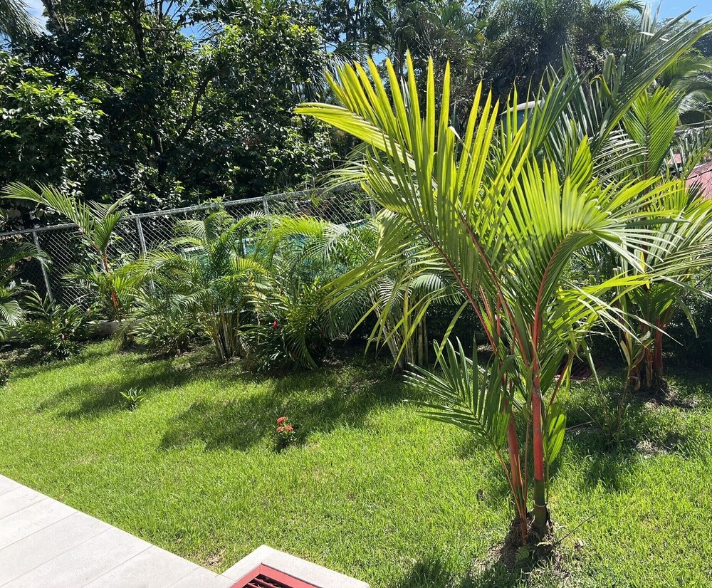 Villa Estrella Pavones