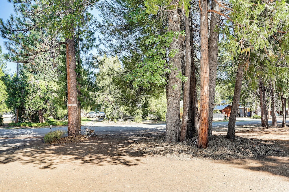 < 2 Mi to Trinity Lake: Norcal Getaway w/ BBQ