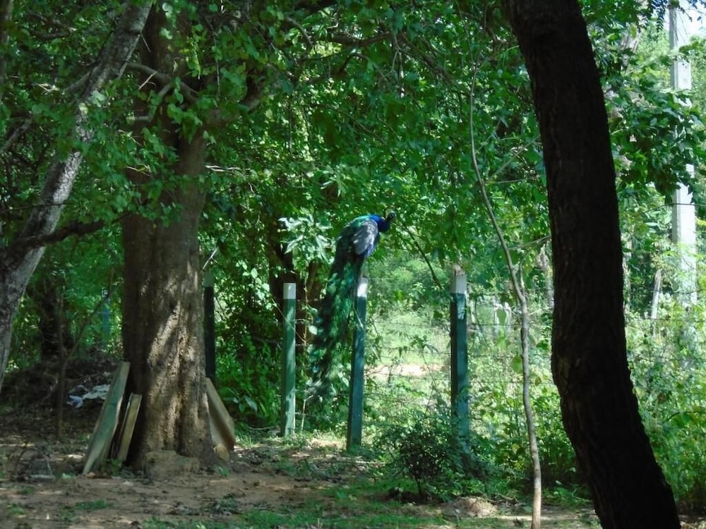 Photo 26