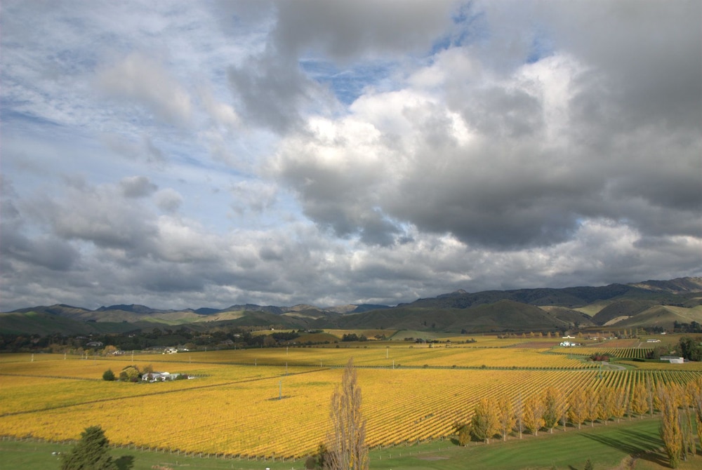 InfinityView B&B