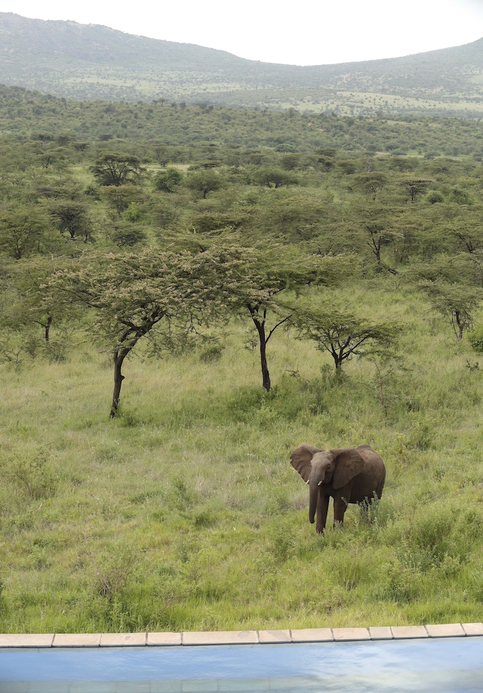 Spirit Of The Masai Mara