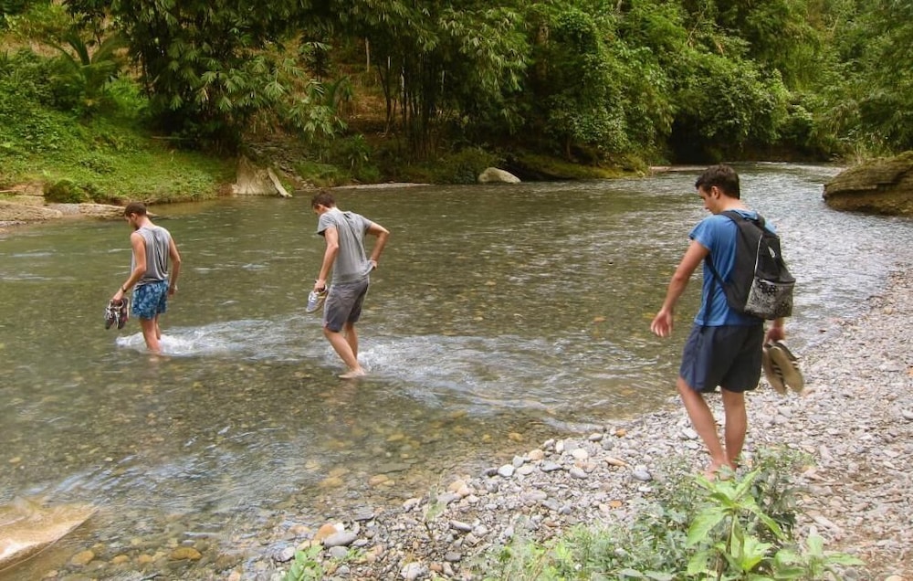Photo 44