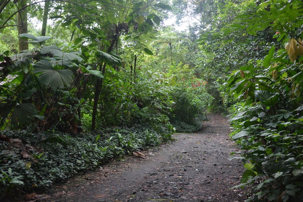 Arenal Oasis