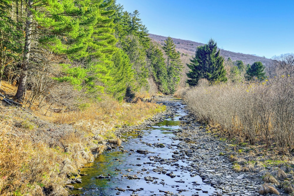 Mountain Views & Brook Access: Home in Arkville!
