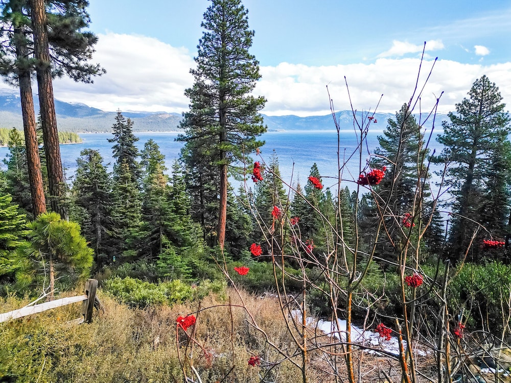 Tahoe Mountain Retreat Sleeps 12!
