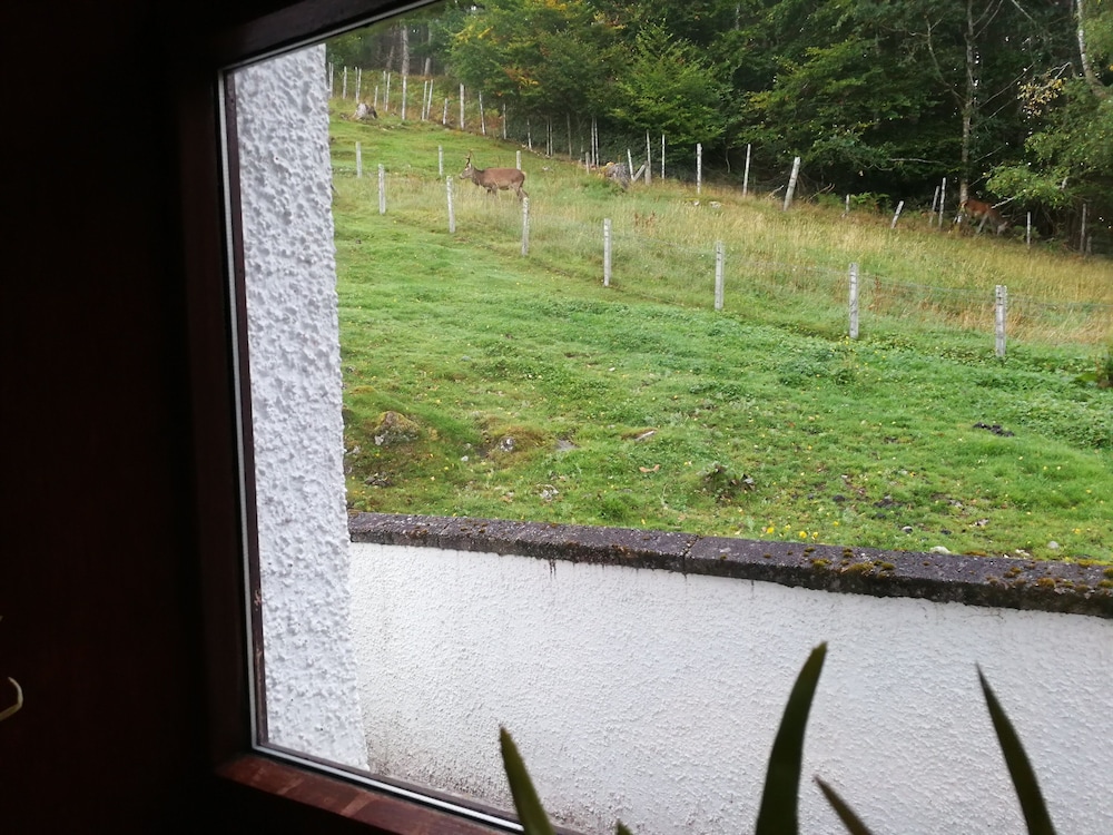 Highgarry Cottage