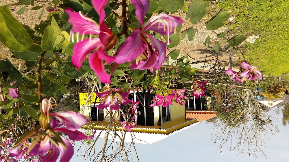 Baan Sri Chiang Dao