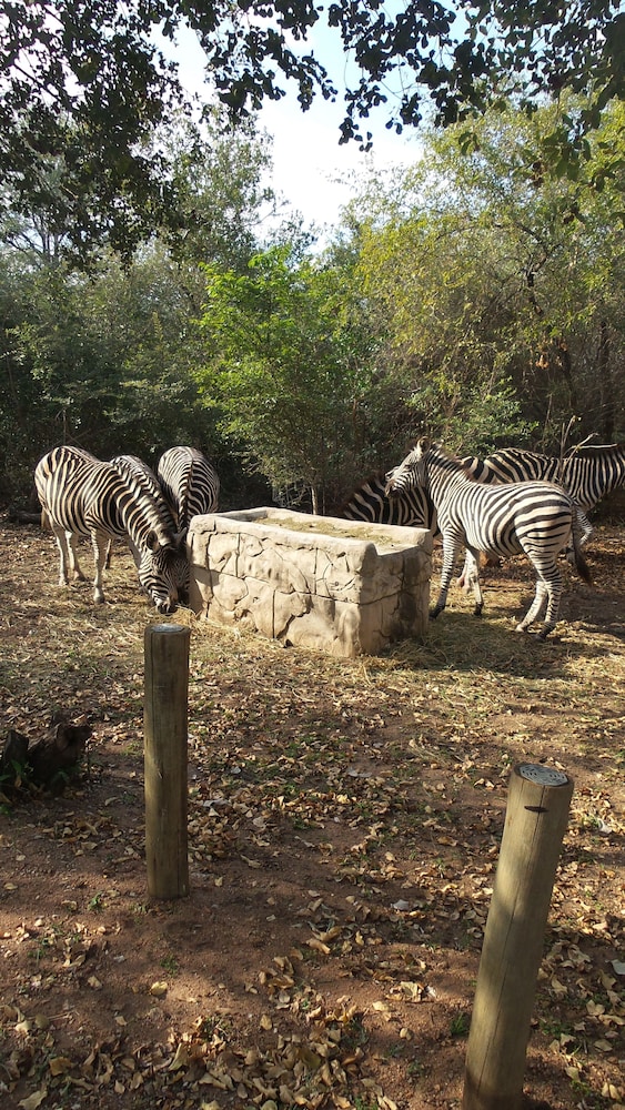 Beyond The Boma Boutique Guest