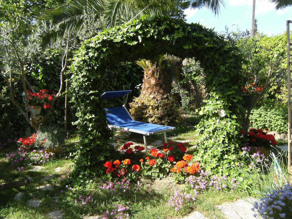 Photo 42