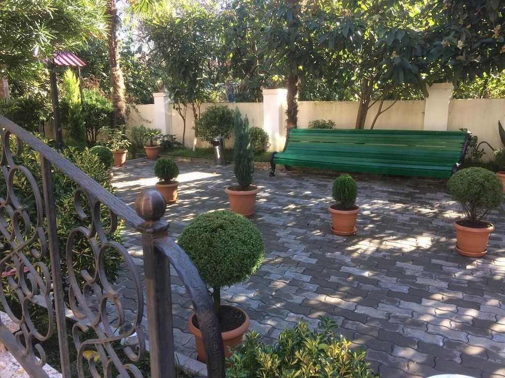 Photo 11