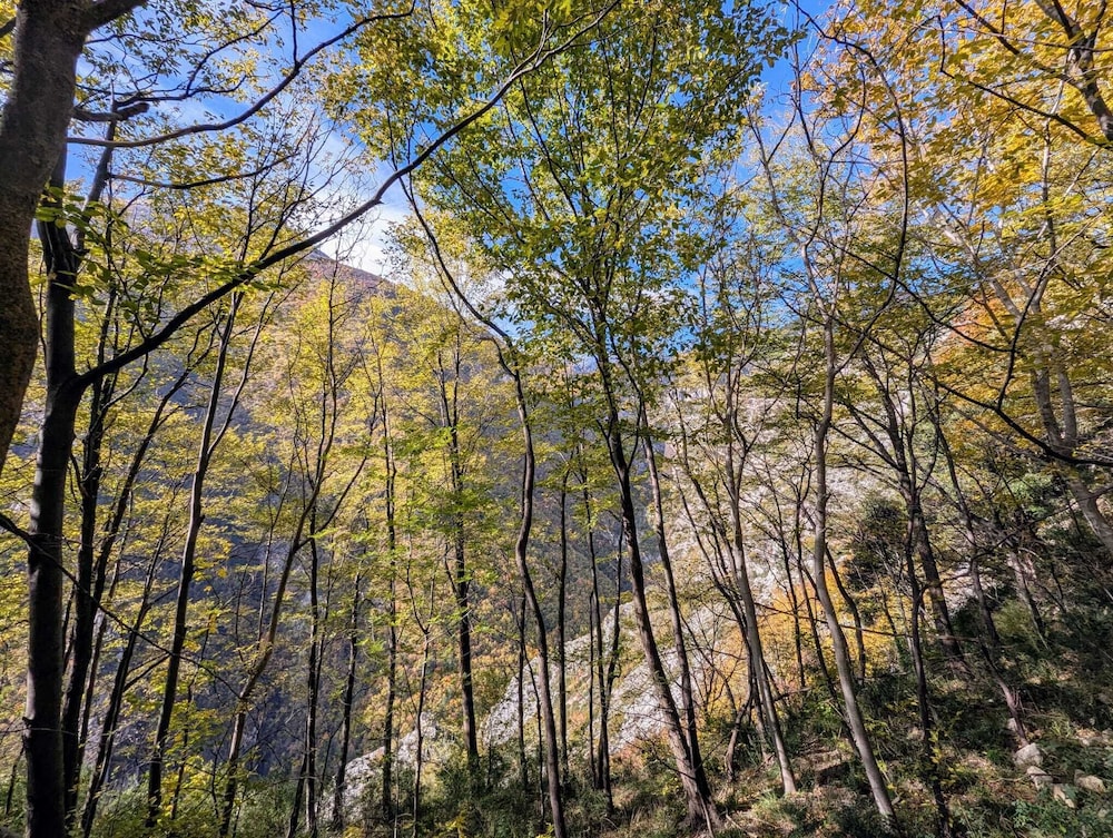 Casa Avella Mountain Retreat