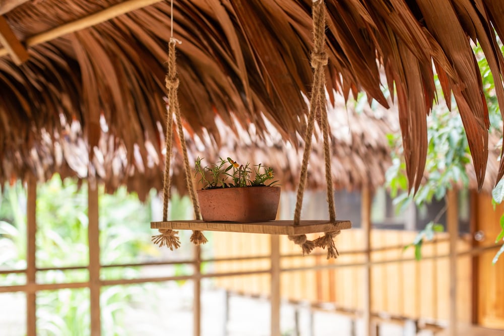 Eywa Lodge Amazonas: Luxurious Eco Escape – All-Inclusive Adventure in the Amazon