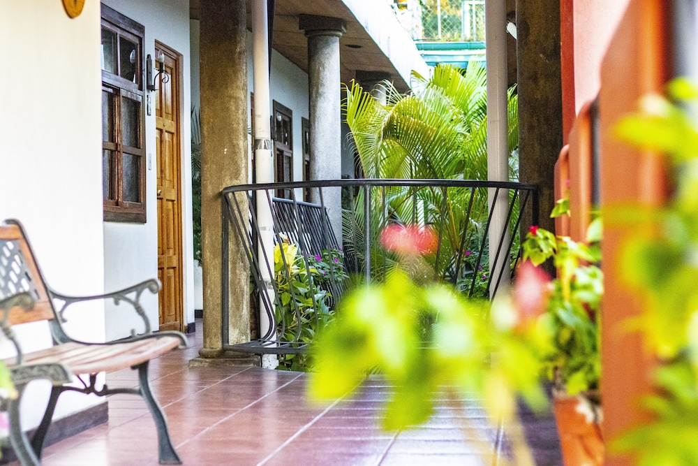 Árbol de Fuego Eco-hotel, a green experience in the city