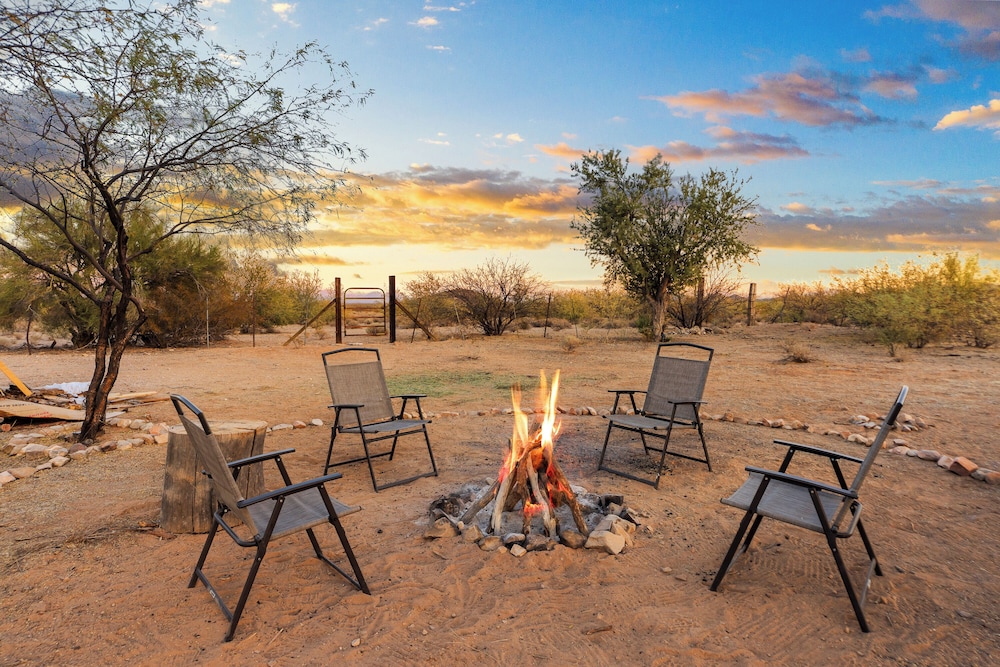 SaguaroGlamp