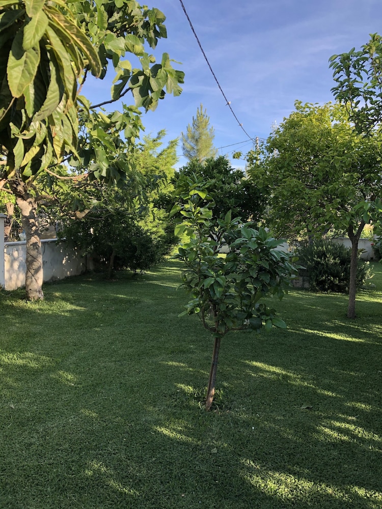 Photo 22