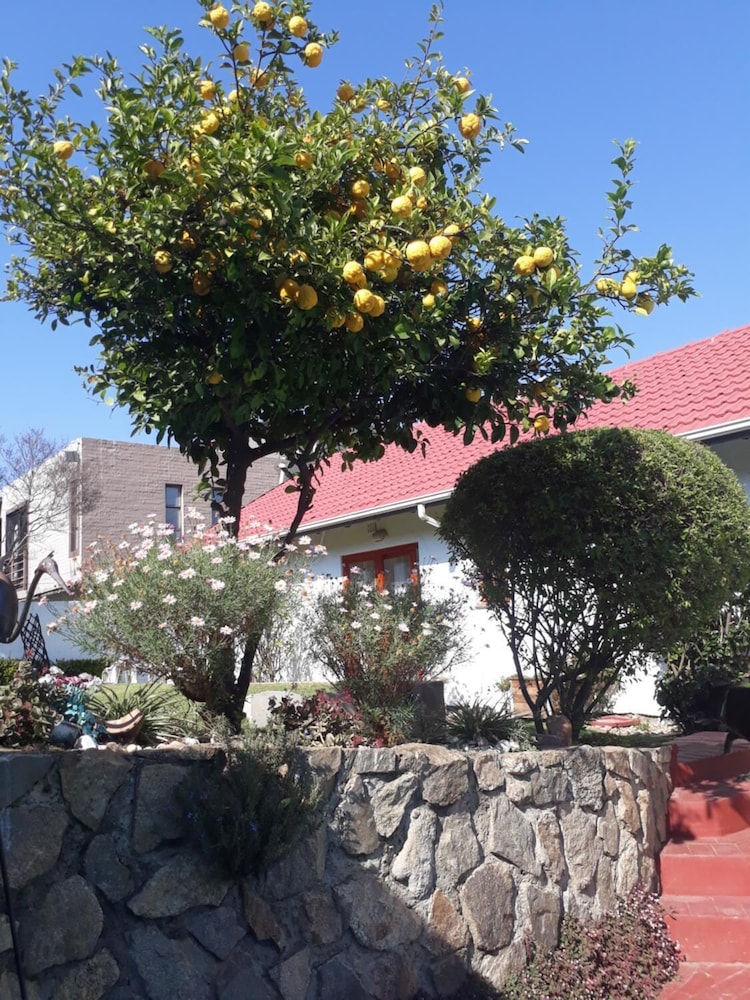 Mizizi House of Sandton Bed & Breakfast