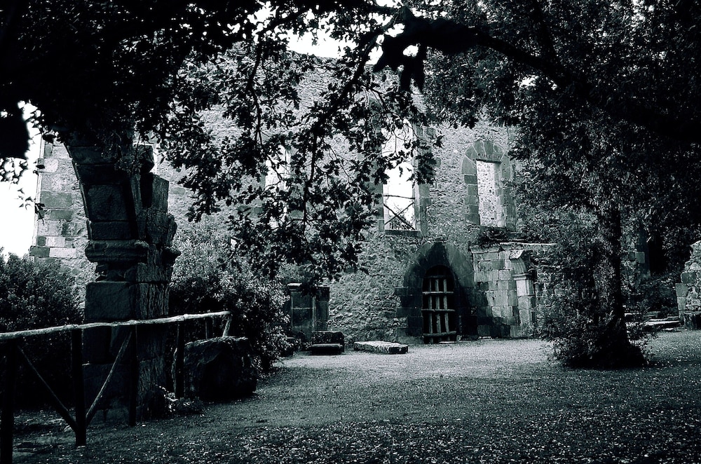 Photo 40