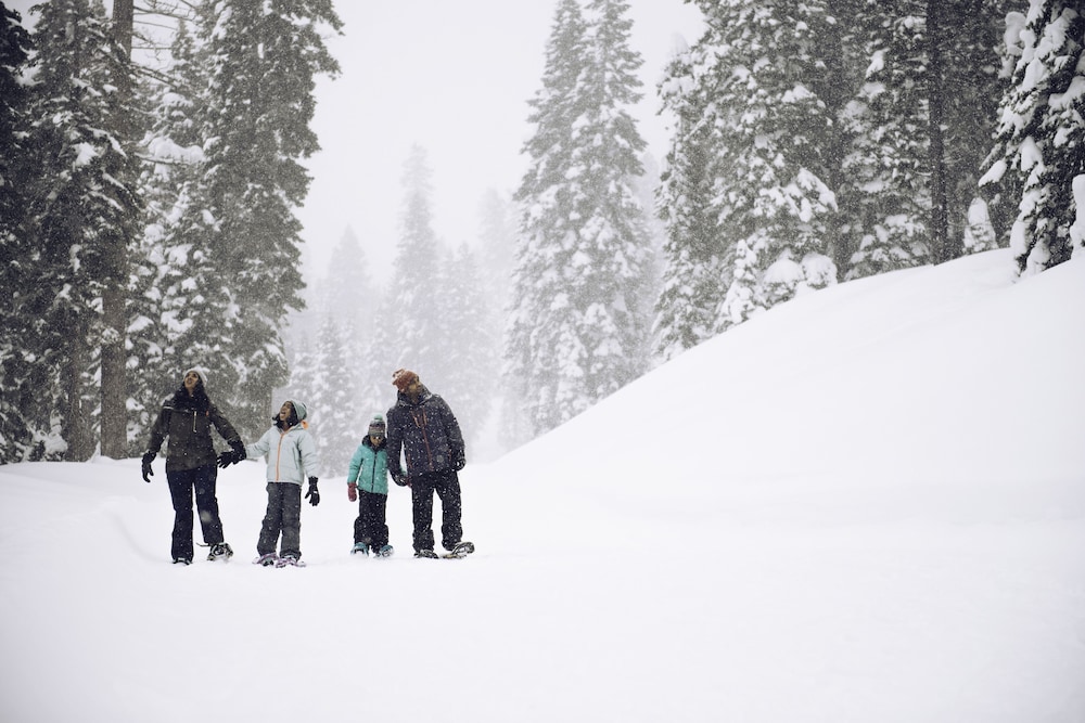 Lake Tahoe Vacations - 4 Bedroom Home at 392 Skidder Trail by RedAwning Save 10 on 3 Nights, 15 on 5 Nights! - Property Image 15