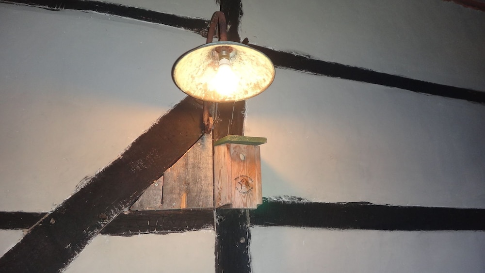B&B Rikkeshoeve