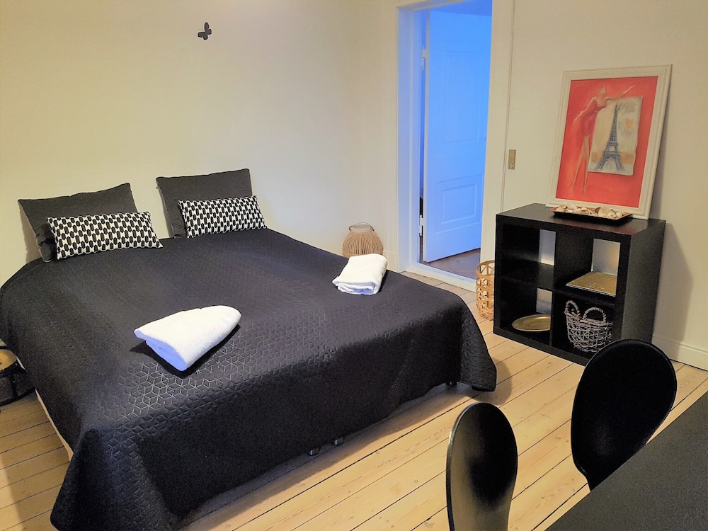 Classic Copenhagen City Apartment
