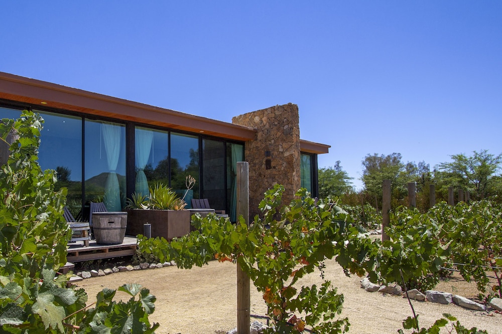 Hotel Entre Viñedos - Image 1