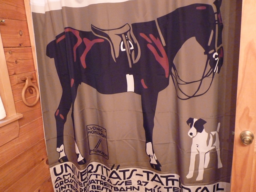 Horseshow Hideaway - Pet Friendly Cabin, 7 Minutes to TIEC - Property Image 2