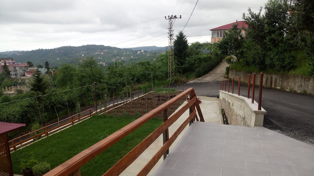 Akulnet 1