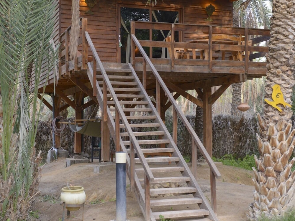 Tozeur Vacations - Hotel Diar Abou Habibi - Property Image 7
