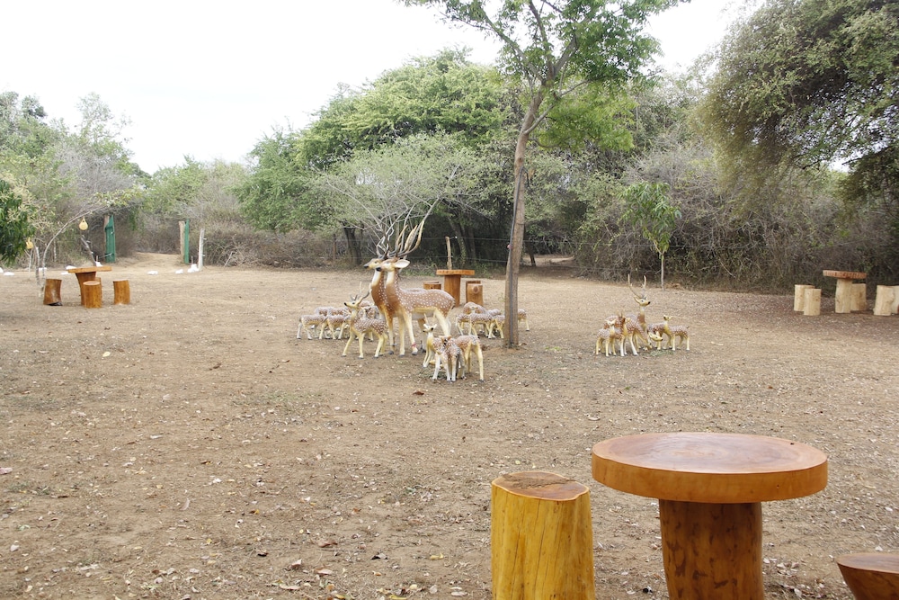 Thumbaya Resort Yala