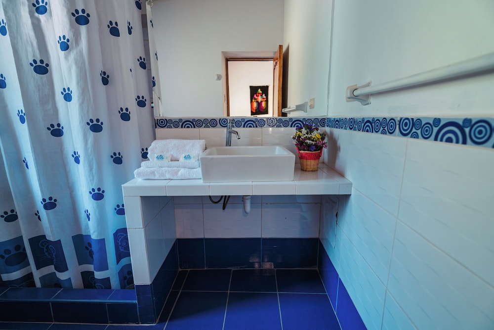 B&B Picaflor Tambo