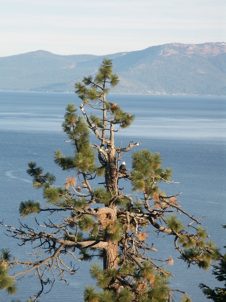 Where Eagles Fly Bed & Breakfast