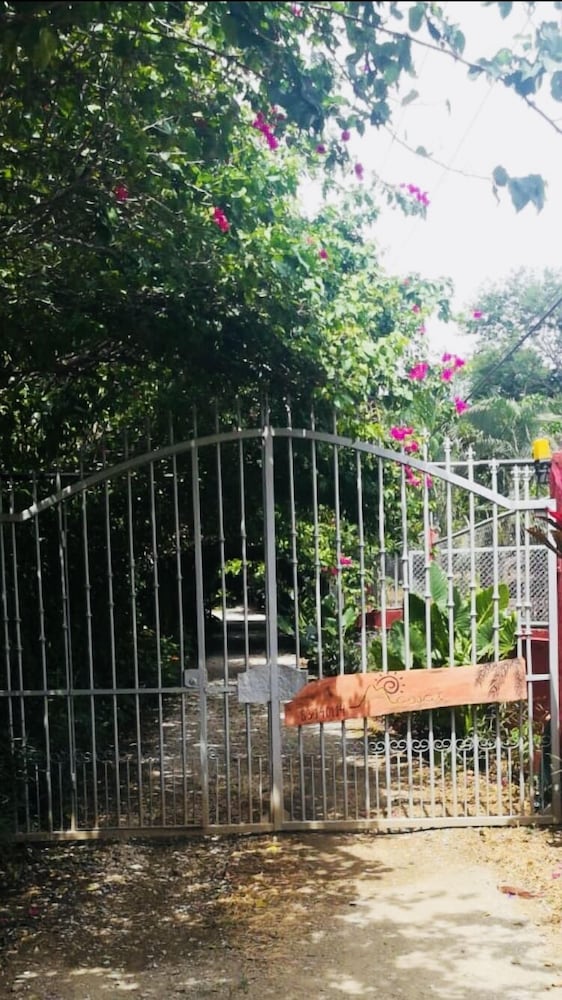 Apartamentos Massai