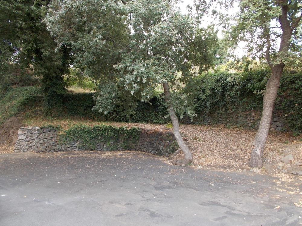 Photo 30